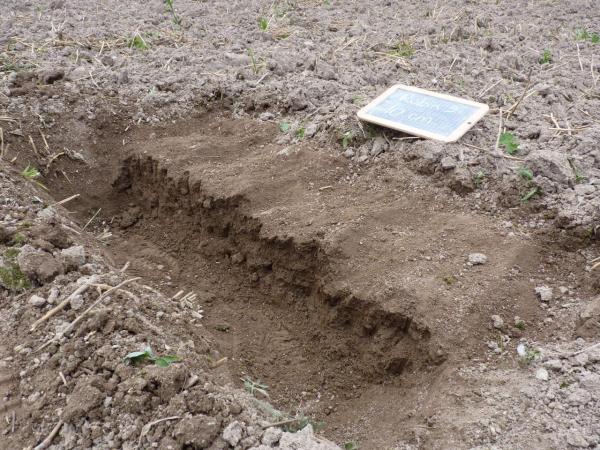 Déchaumage superficiel - Lemken Rubin 9