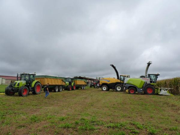 Ensilage maïs