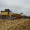 NewHolland CX