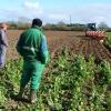 Kuhn labour