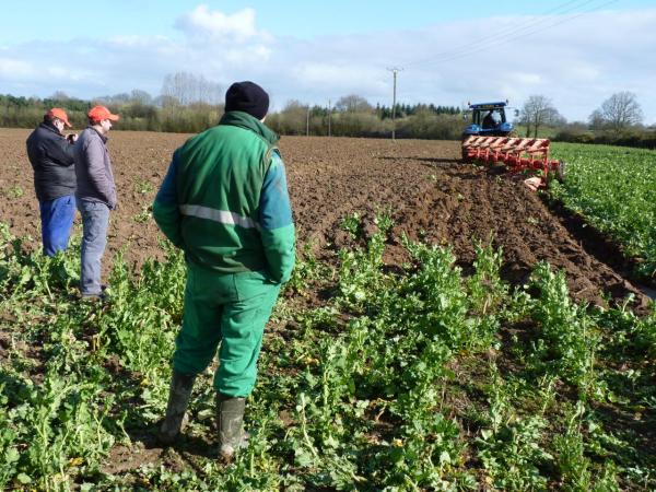 Kuhn labour
