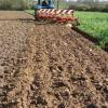Kuhn labour
