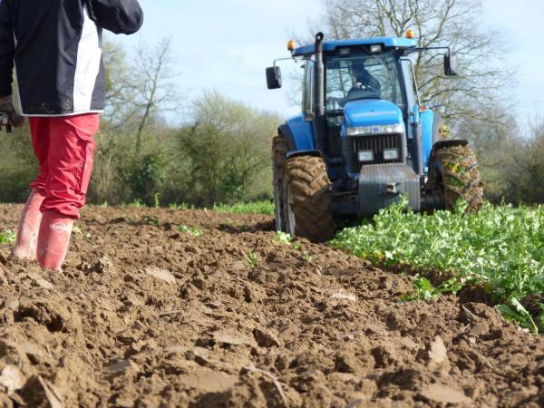 Kuhn labour