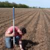 Strip till 