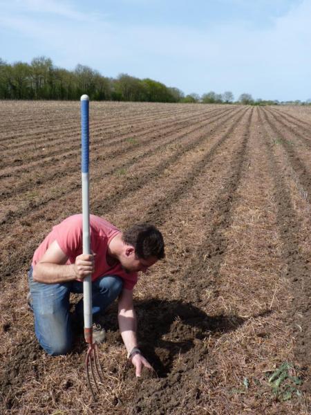 Strip till 