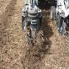 Strip Till Sly