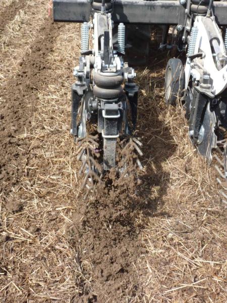 Strip Till Sly