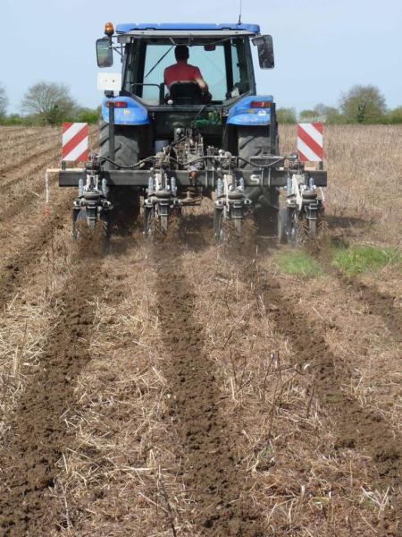 Strip tiller