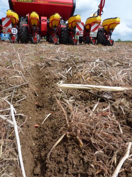 Vaderstad Tempo F8