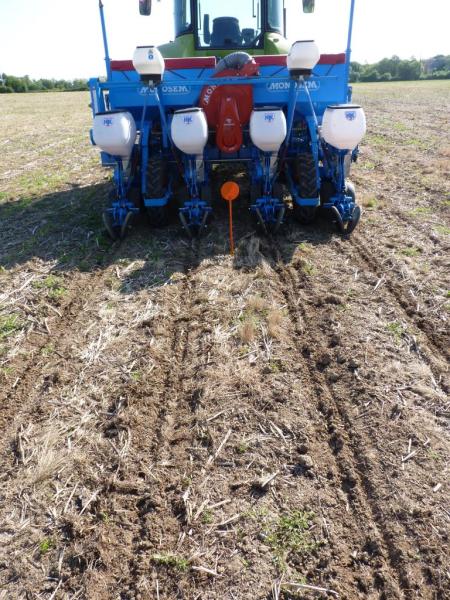 Semis sur strip till Monosem NX2 M