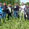 Visite parcelles désherbage maïs Benoit Bon SC2