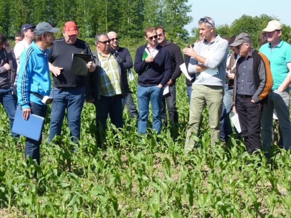 Visite parcelles désherbage maïs Benoit Bon SC2