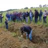 Commentaires profil sol