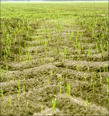 Diminution de la compaction des sols