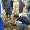 Strip Till