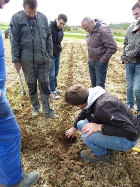 Strip Till