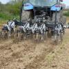 Strip tiller