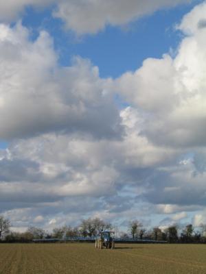 img-4967.jpg