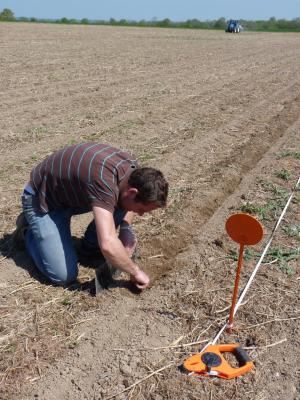 Semis monograine strip-till